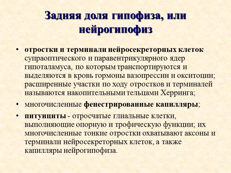Задняя доля гипофиза, или нейрогипофиз отростки и терминали нейросекреторных клеток супраоптического и паравентрикулярного ядер